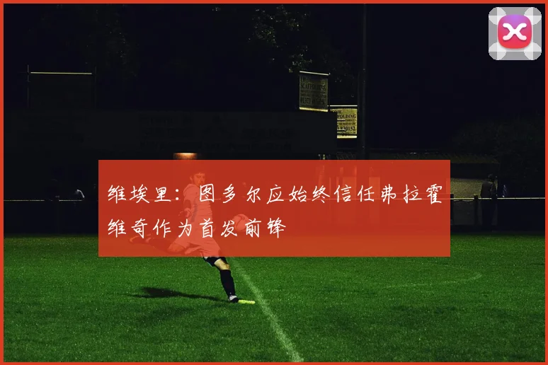 维埃里：图多尔应始终信任弗拉霍维奇作为首发前锋