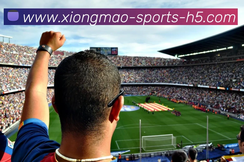 多媒体互动体验