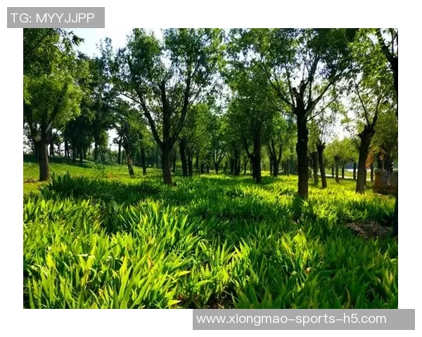 奥特古德温刻苦训练成效显著期待他未来更精彩的表现