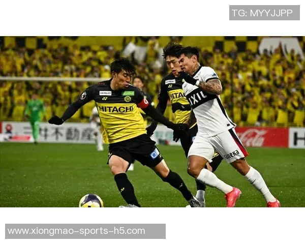 鹿岛门将早川友基荣膺J1最佳塞阿拉超40米世界波获最佳进球